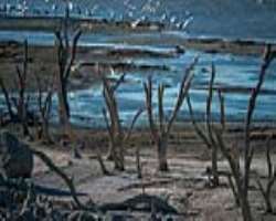 The authorities left the lake with no care which started to cause problems to the people who used to visit such as there was no space for water to get
